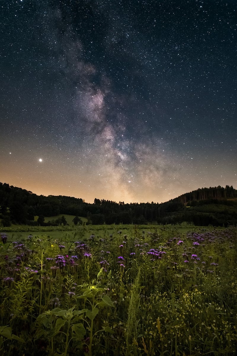 Galactic Celebrations